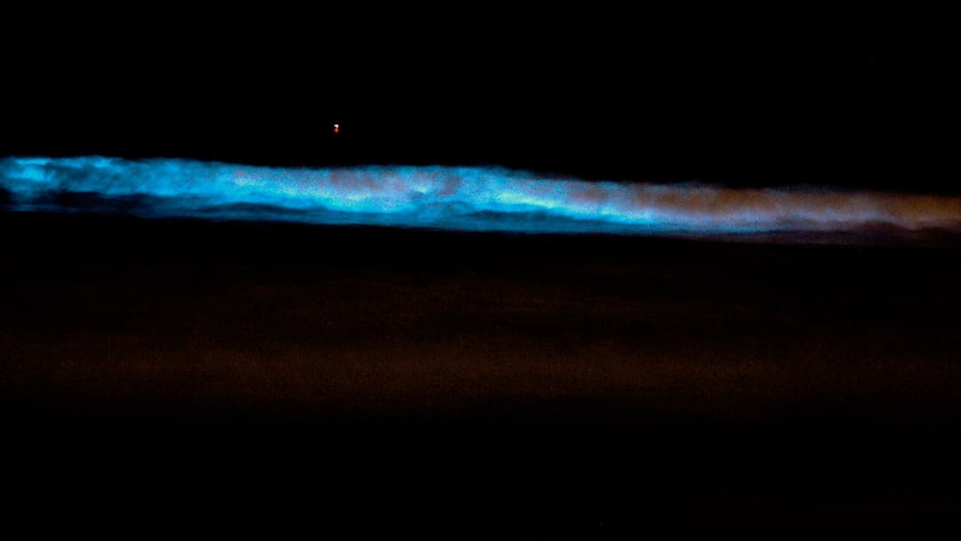 Bioluminescent dinoflagellate plankton Lingulodinium polyedrum glowing electric neon blue in a breaking ocean wave at night