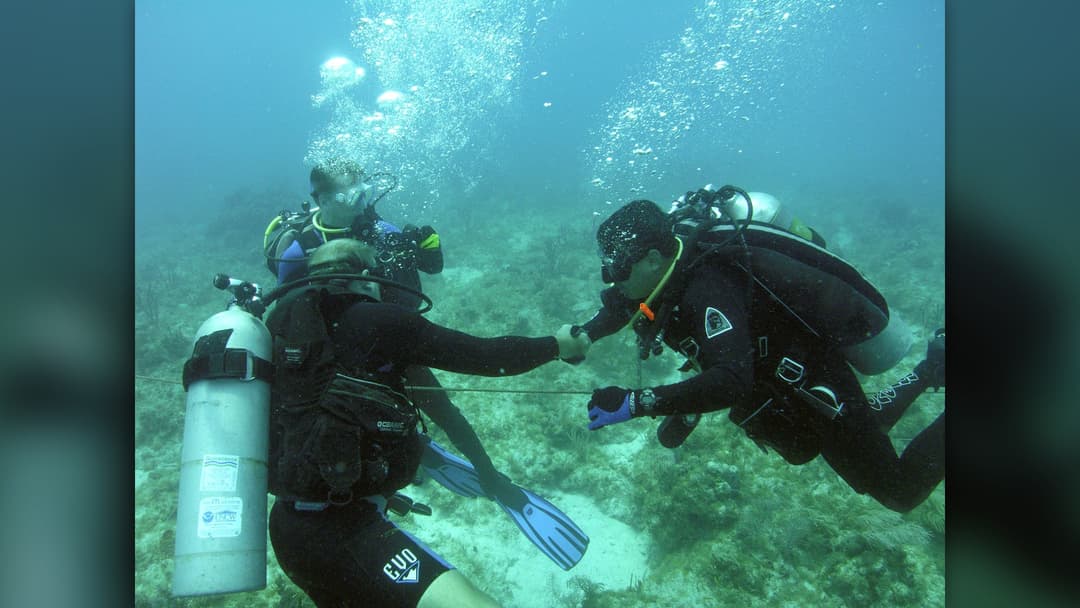 NASA astronaut Jose Hernandez and instructor shaking hands underwater during NEEMO 12 saturation diving training
