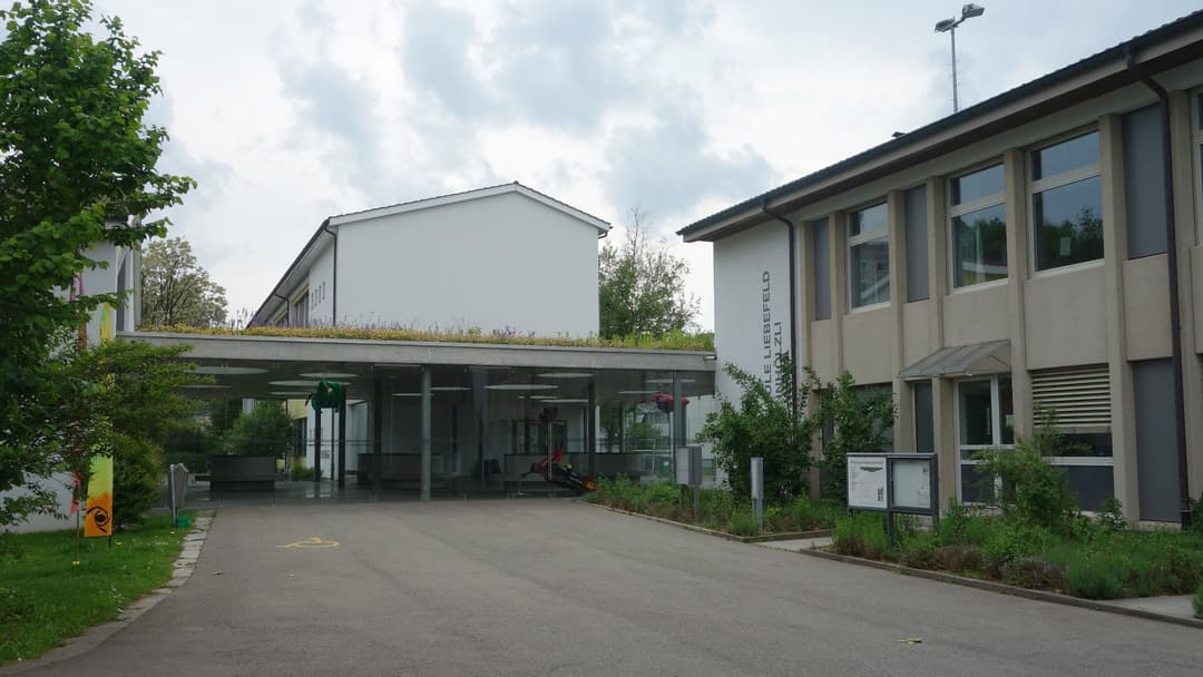 #15. The Secret Swiss Boarding School Blueprint Under Fake Names