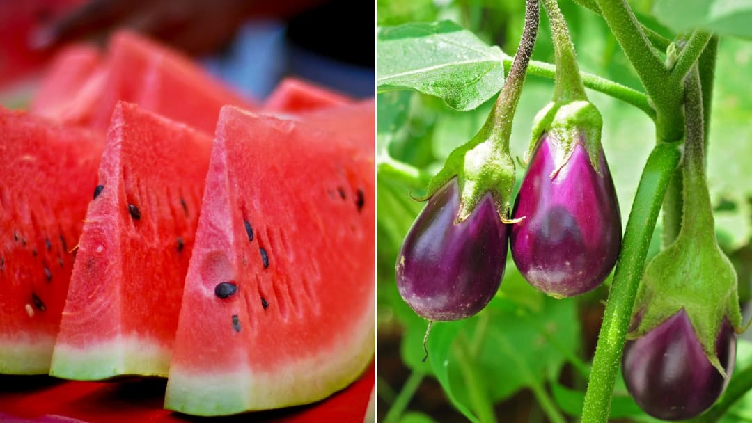 25 Foods You Didn't Know Were Hiding Weird Secrets