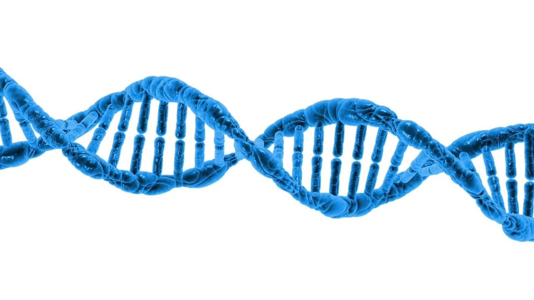 Can Commercial DNA Tests Prove You Are Related to a US President?