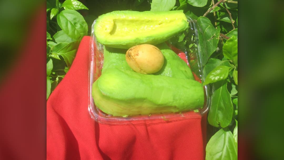 8. Avocados