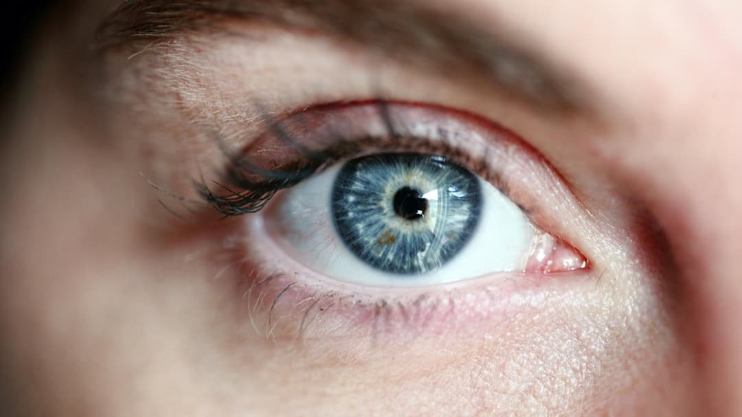 Extreme macro landscape photograph of a wide human eye and pupil