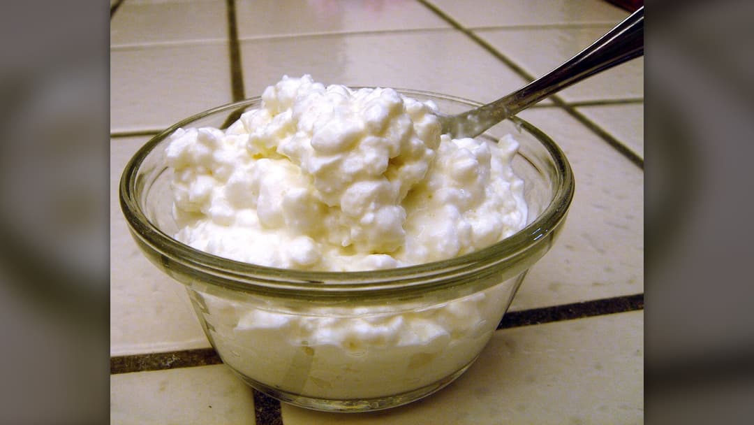 Bowl of fresh curds of creamy cottage cheese