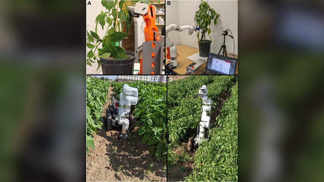 29. Autonomous Robotic Crop Harvesters