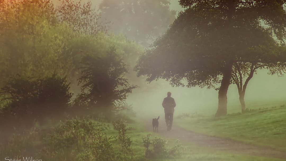 6. Walking And Bonding With A Dog Outdoors In Nature