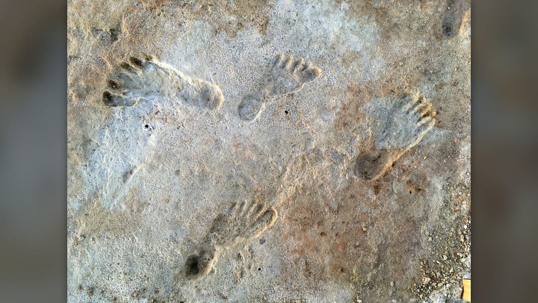 Fossilized Ice Age human footprints preserved in ancient lakebed mud at White Sands National Park in New Mexico