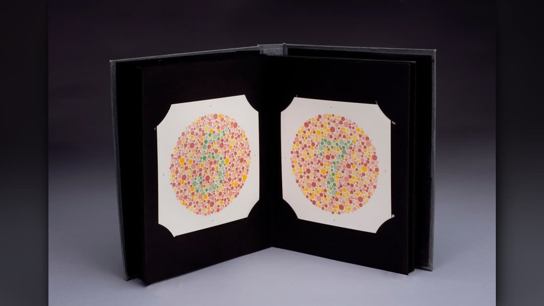 3. Red Green Color Vision