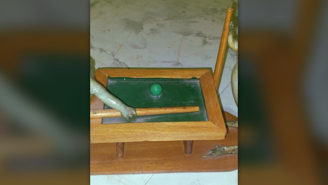 Anthropomorphic taxidermy diorama of preserved frogs playing pool on a miniature billiards table