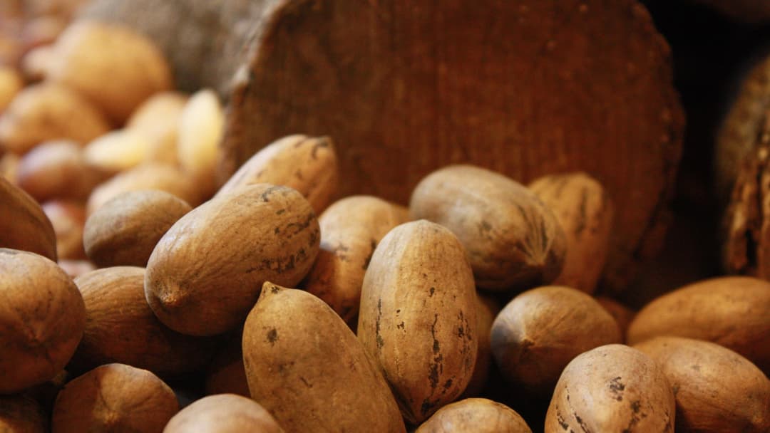 14. Snack On Raw Walnuts And Almonds