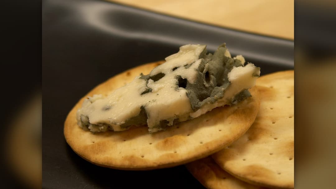 16. Blue Cheese (Middle Ages)