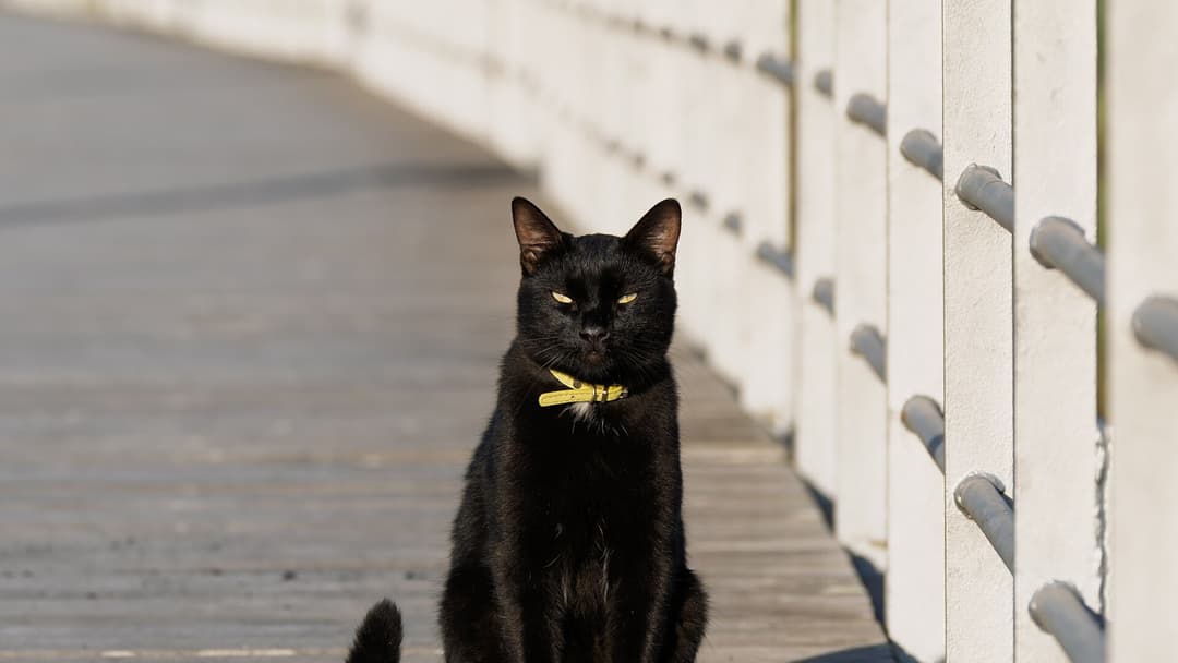 2. Striking Glowing Eyes