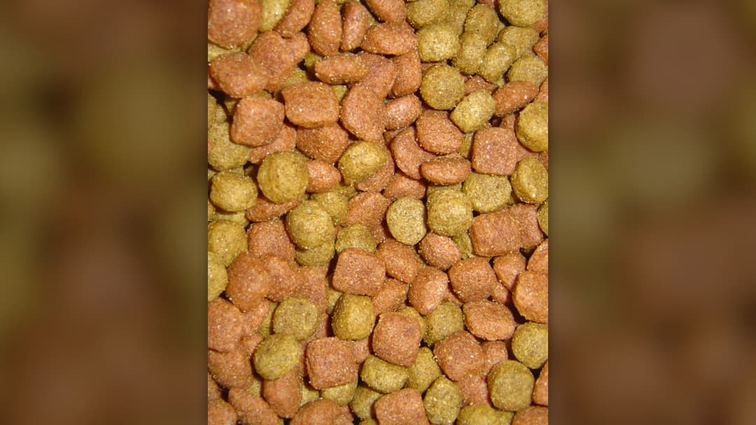 Repeated Vomiting Or Diarrhea