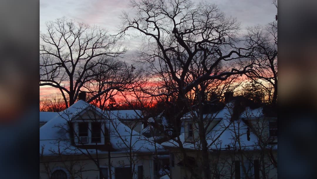 Snow-covered suburban rooftops and trees at sunrise in Summit, New Jersey