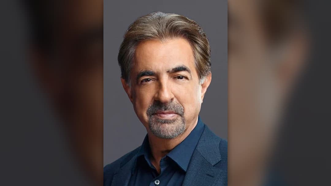 6. Joe Mantegna And Arlene Vrhel (51 Years)