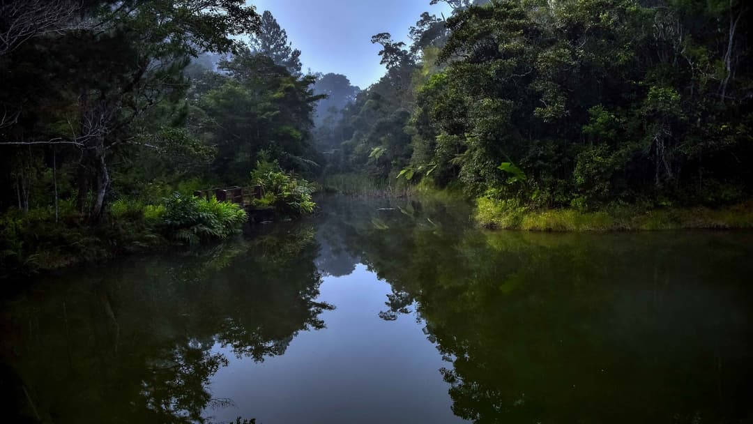 19. Complete Island Endemism