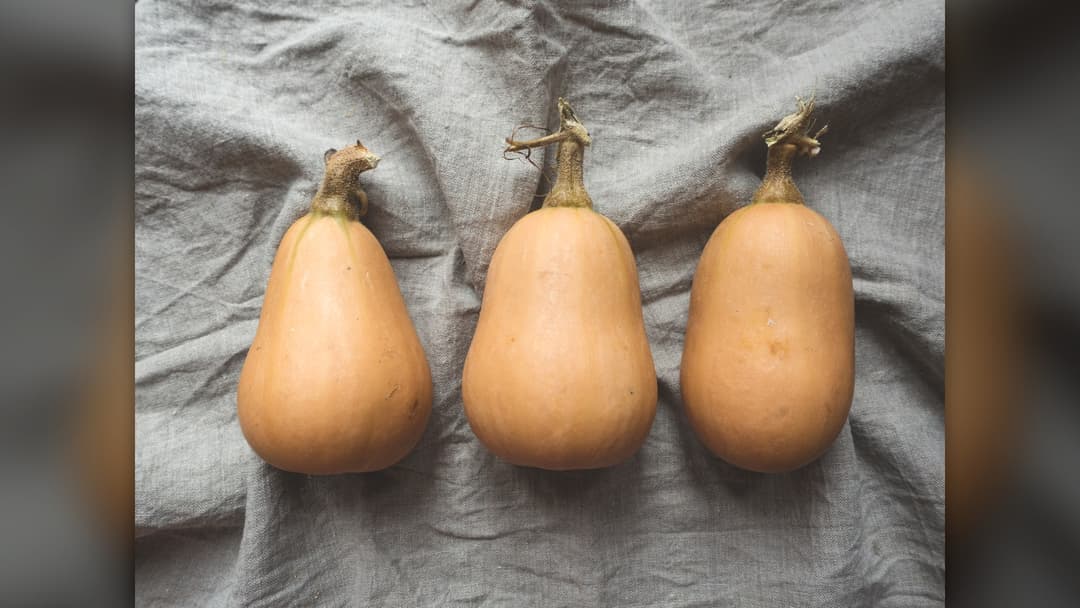 16. Nurture A Backyard Garden