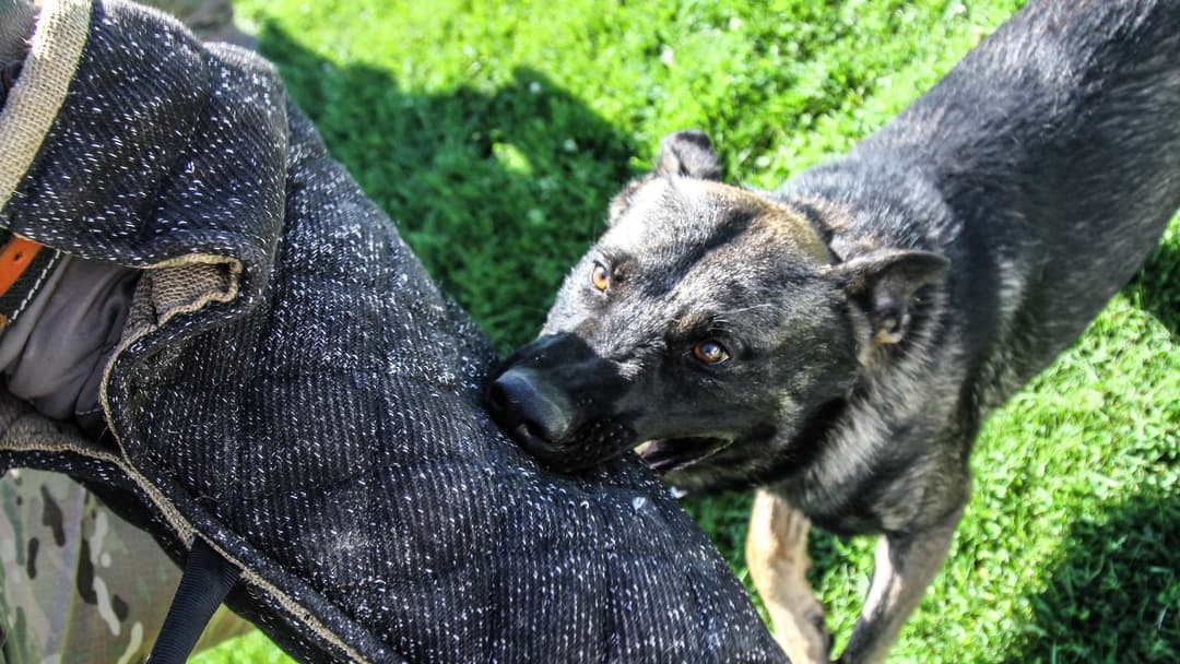 7. Protecting Your Throat In A Dog Attack