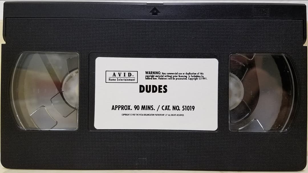 2. VHS Rental Stores And Drop Boxes