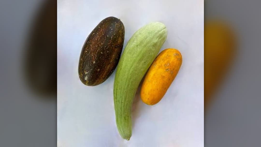 7. Softened Browning Cucumbers