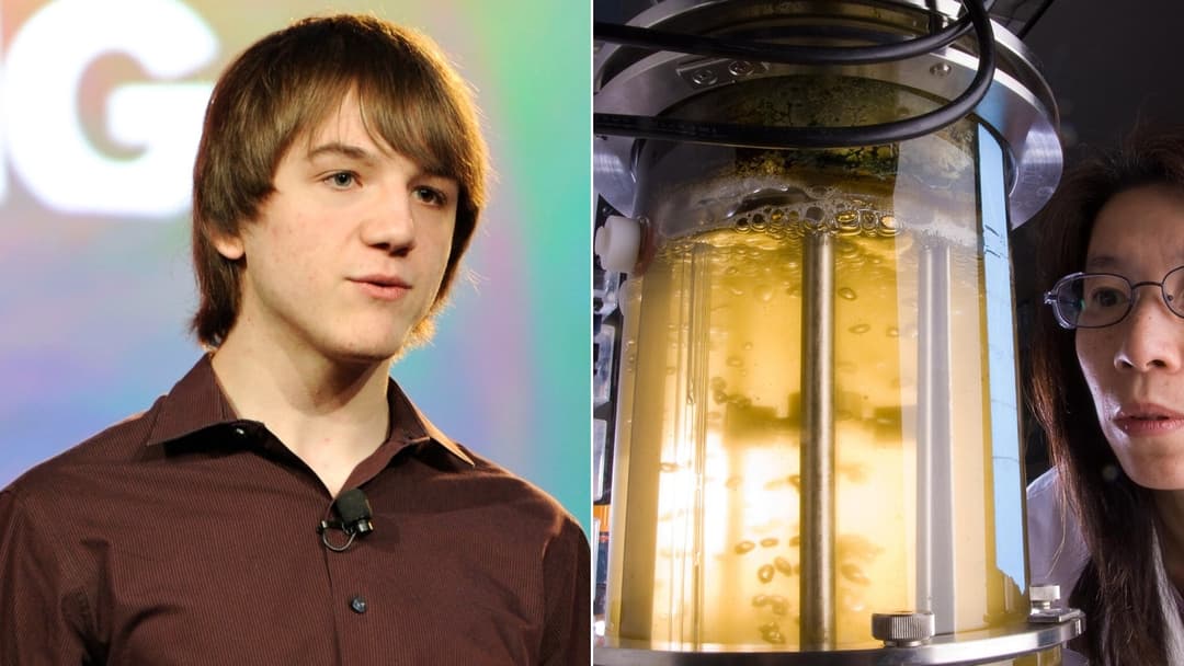 The Most Important Inventions by Teenagers, Ranked