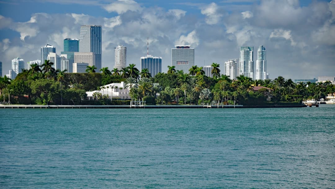 3. Florida (23 Area Codes)