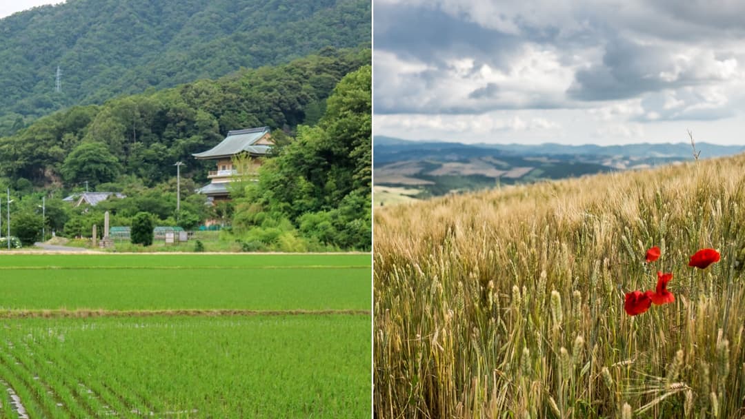 The 15 Countries That Feed the World