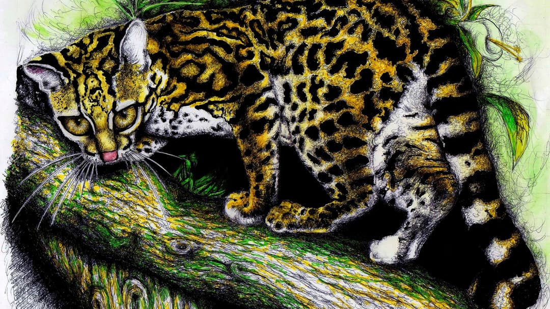Spotted South American wild cat of genus Leopardus resting on a forest branch in Bolivia