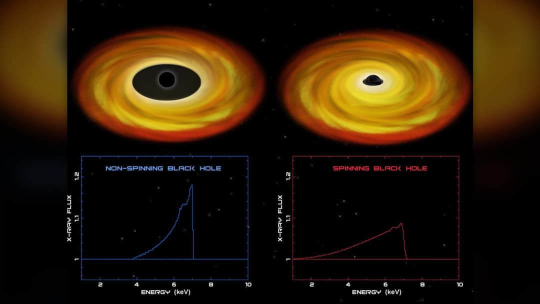 NASA Chandra X-ray illustration of the spinning black hole Cygnus X-1 pulling gas from its companion star