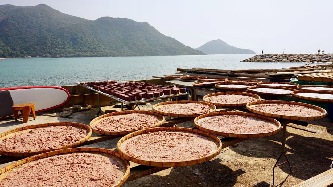 11. Belacan Shrimp Paste