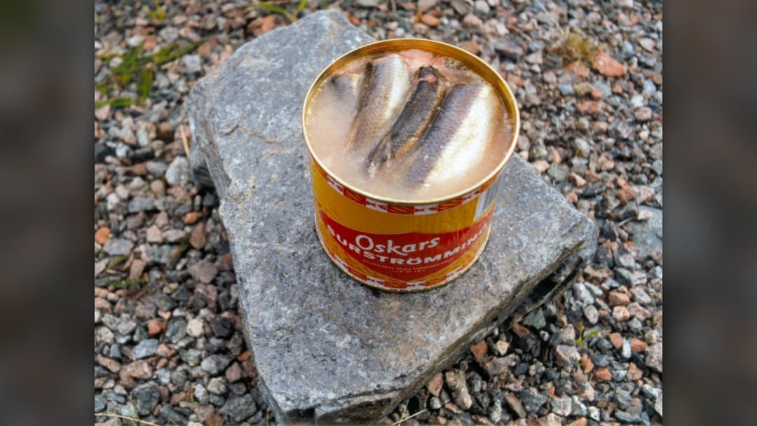 20. Swedish Surstromming