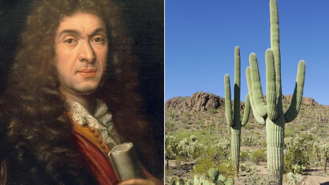 15 People Who Died Because Of Strange Things