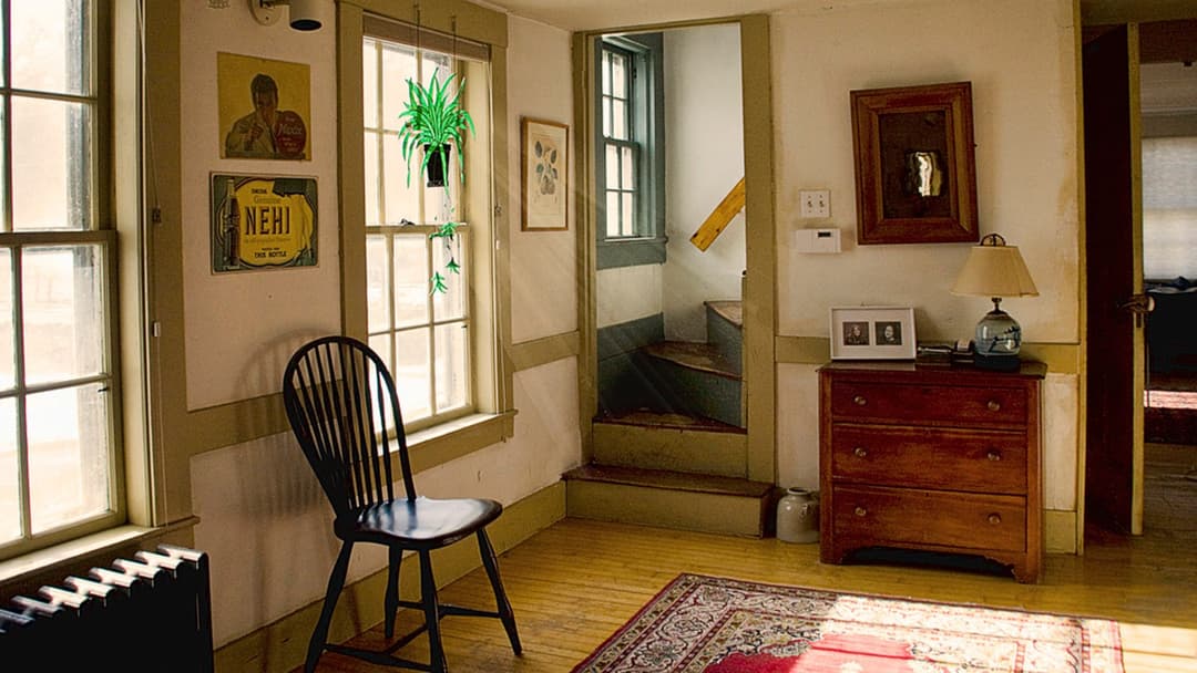 8. Stepping Away From Screens To Gaze Out A Sunlit Window
