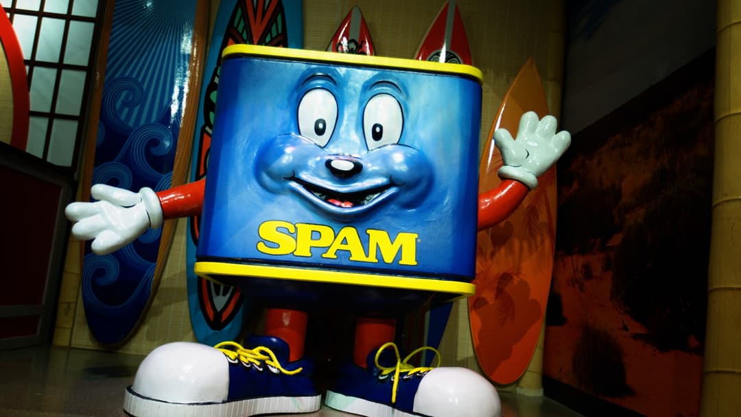 6. Spam