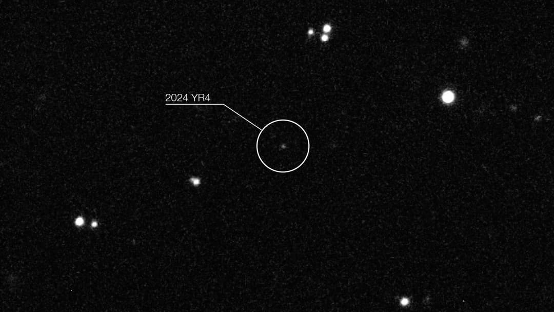 Asteroid 2024 YR4 observed with the European Southern Observatory Very Large Telescope