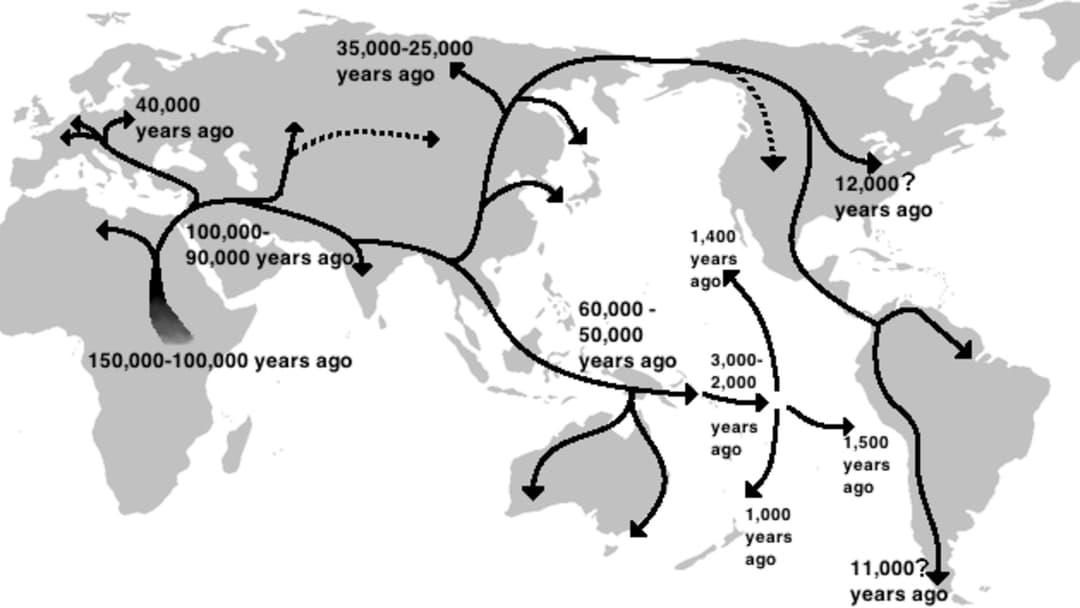 20. Mitochondrial Eve Lineage