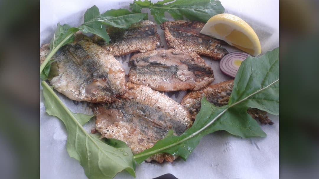 Plate of whole grilled sardines with greens and lemon