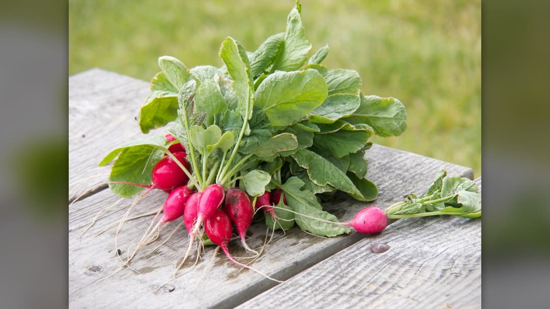 7. Crisp Radishes