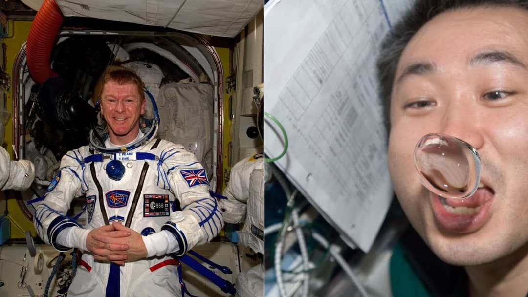 25 Mind-Bending Realities Of Living, Sleeping, And Returning From Orbit