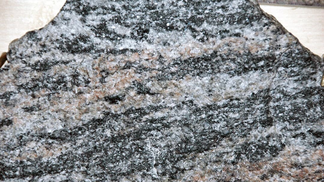 Polished slab of 3.5-billion-year-old Morton Gneiss migmatite from Morton, Minnesota