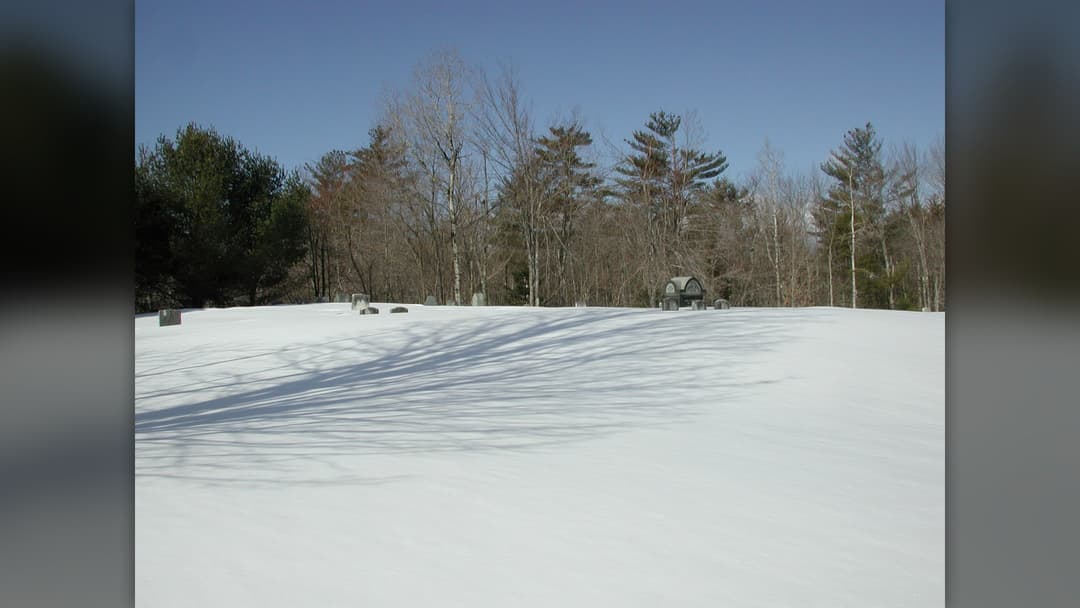 Pine trees and rural home blanketed in deep Maine winter snow