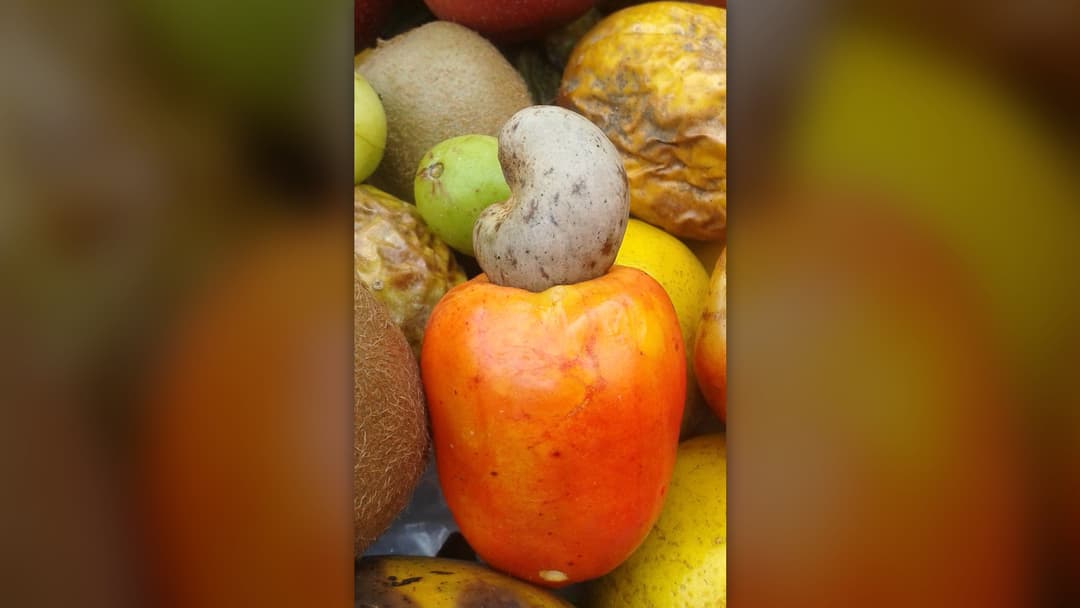 9. Cashews
