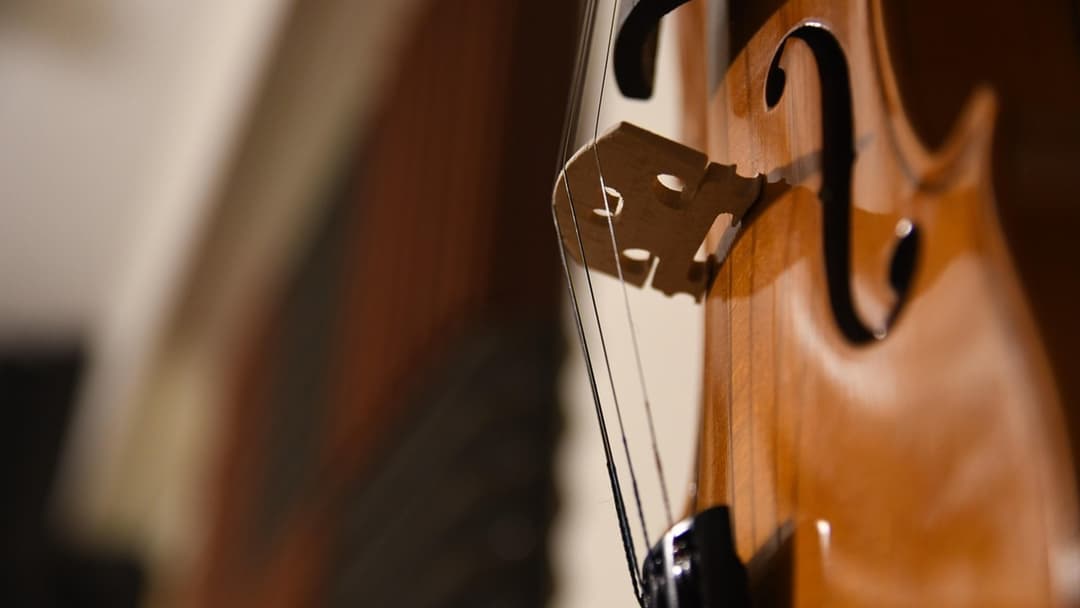 Landscape close-up photograph of violin strings and bow in dramatic lighting