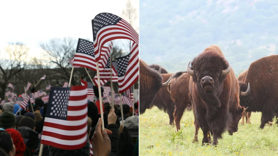 Studies Show Why Americans Eat So Much Beef