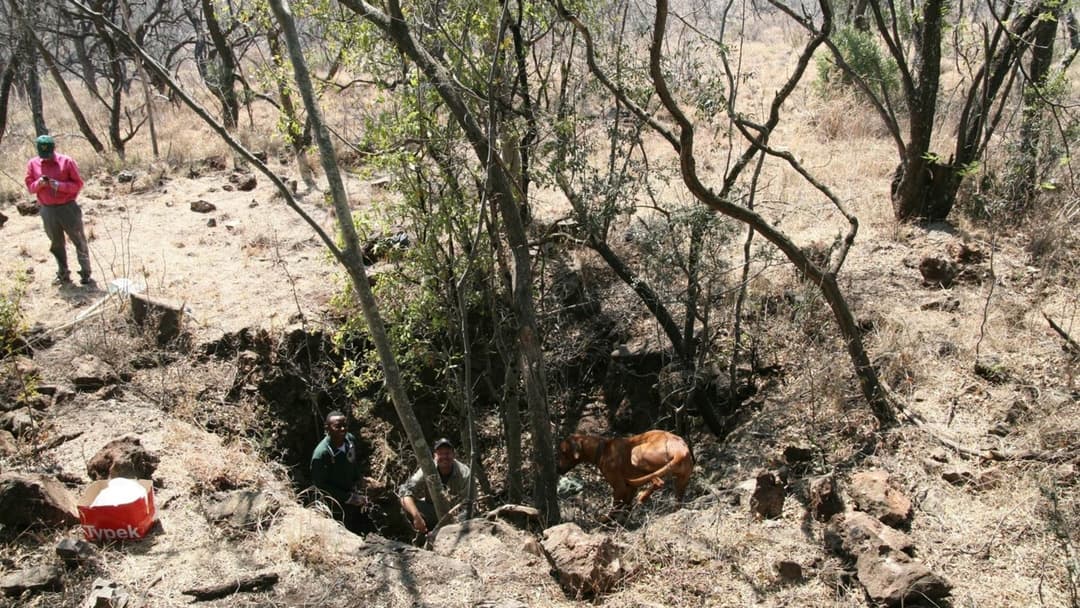 16. Australopithecus Sediba (2008)