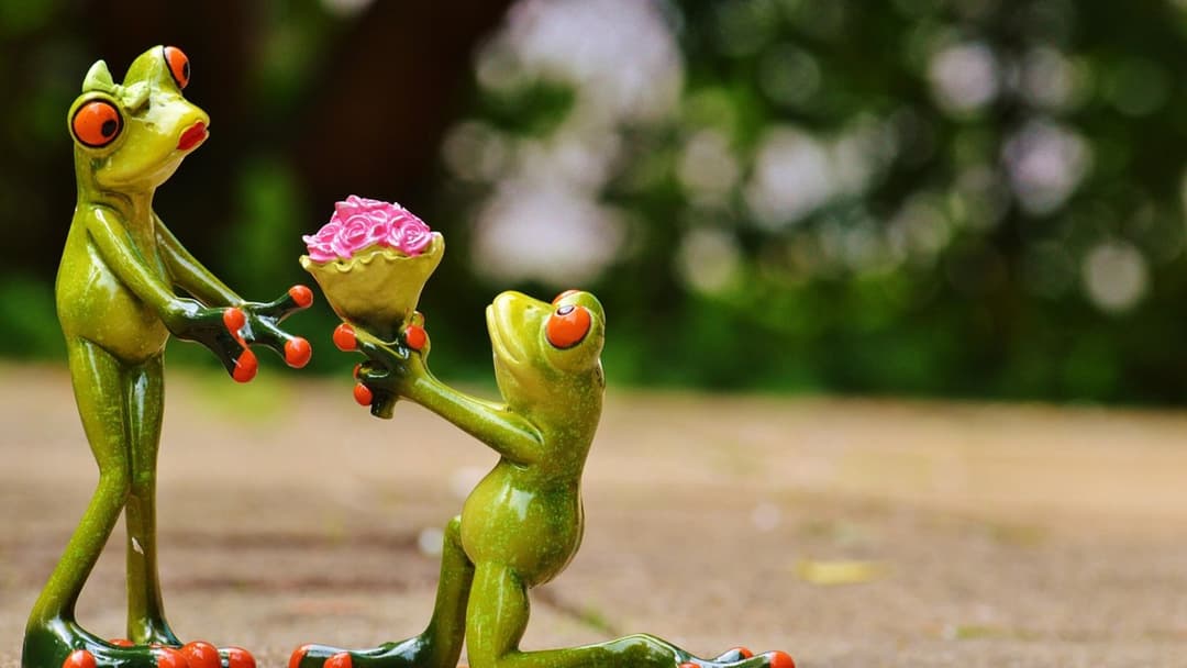 23. Practice Radical Forgiveness