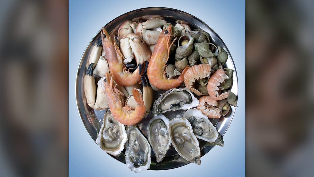 15. Expired Cooked Seafood And Fish
