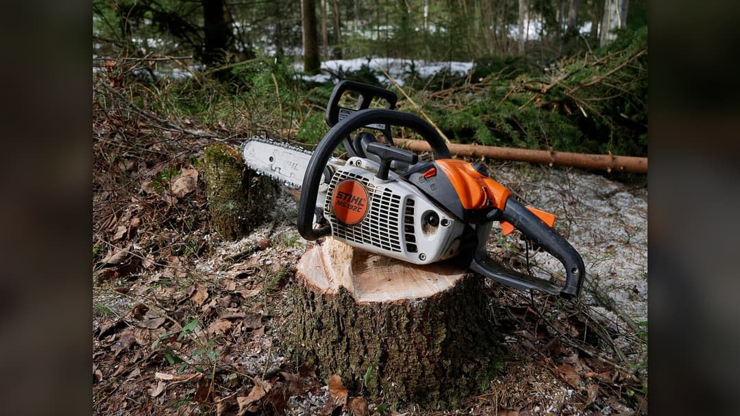 Gasoline-powered Stihl chainsaw resting on a cut tree stump