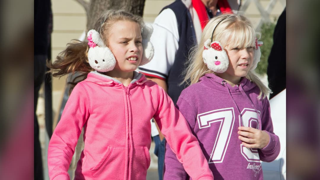 15. Earmuffs