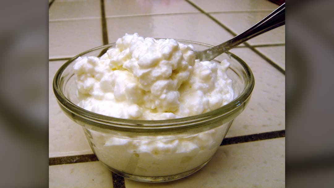 Bowl of fresh white cottage cheese curds